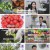 메디컬다큐 - 더 팩트.E41.250107.1080p.H264-F1RST