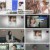 궁금한 이야기 Y.E716.250110.1080p.H264-F1RST