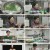 다큐초이스.E84.250111.1080p.H264-F1RST