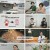 다큐초이스.E85.250118.1080p.H264-F1RST