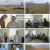 강철지구.E16.250124.1080p.H264-F1RST