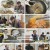 식객 허영만의 백반기행.E280.250126.720p.H264-F1RST