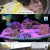 2TV 생생정보.E2427.250207.720p-NEXT