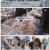 SBS 스페셜.E672.250218.1080p-F1RST