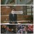 다큐 인사이트.E229.250306.1080p-F1RST