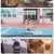 인간극장.E6058.250310.1080p-F1RST