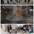 팔도밥상.E393.250315.1080p-F1RST
