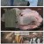 한국인의 밥상.E697.250320.1080p-F1RST