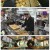 생활의 달인.E977.250407.1080p-F1RST