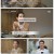 다큐초이스.E90.250412.1080p-F1RST