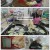 한국인의 밥상.E701.250417.1080p-F1RST