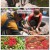 팔도밥상.E399.250426.1080p-F1RST