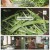 팔도밥상.E400.250503.1080p-F1RST