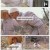 인간극장.E6099.250506.1080p-F1RST