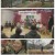 다큐 인사이트.E237.250508.1080p-F1RST