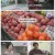 생로병사의 비밀.E951.250514.1080p-F1RST