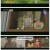 다큐 인사이트.E238.250515.1080p-F1RST