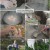 팔도밥상.E402.250517.1080p.H264-F1RST