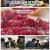 식객 허영만의 백반기행.E296.250518.1080p-F1RST