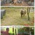 나는 자연인이다.E657.250521.1080p-F1RST