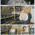 2TV 생생정보.E2299.250523.720p-F1RST