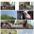 인간극장.E6114.250527.1080p-F1RST