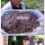 팔도밥상.E421.250605.720p-NEXT