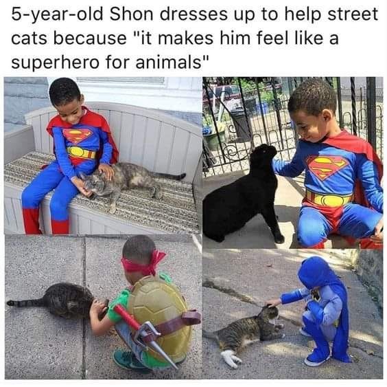 17473643008324.jpg