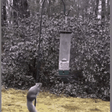 17492031868045.gif