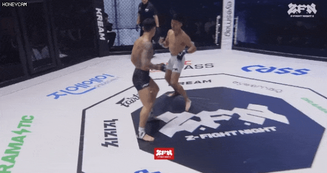 17503289881527.gif