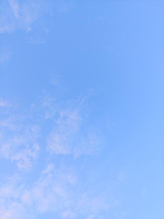 1750441362301.jpg