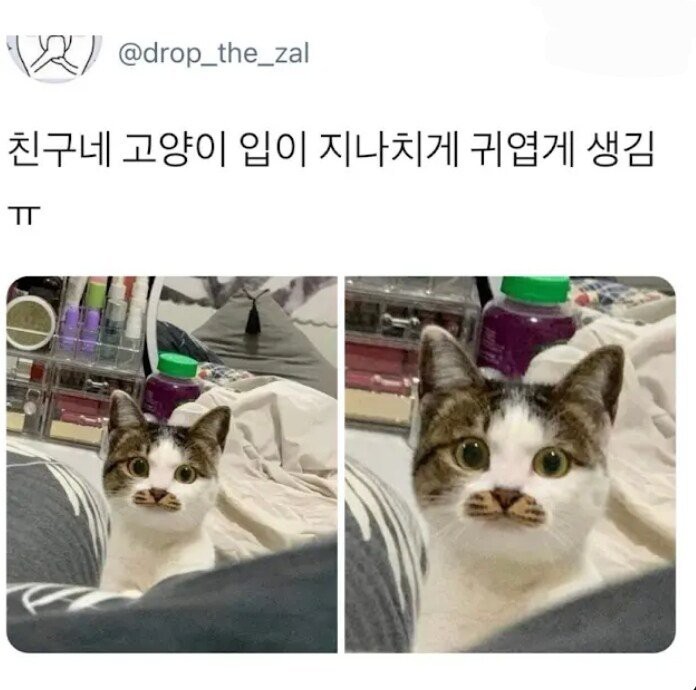 17508313558324.jpg
