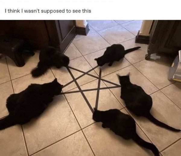 17503289532276.jpg
