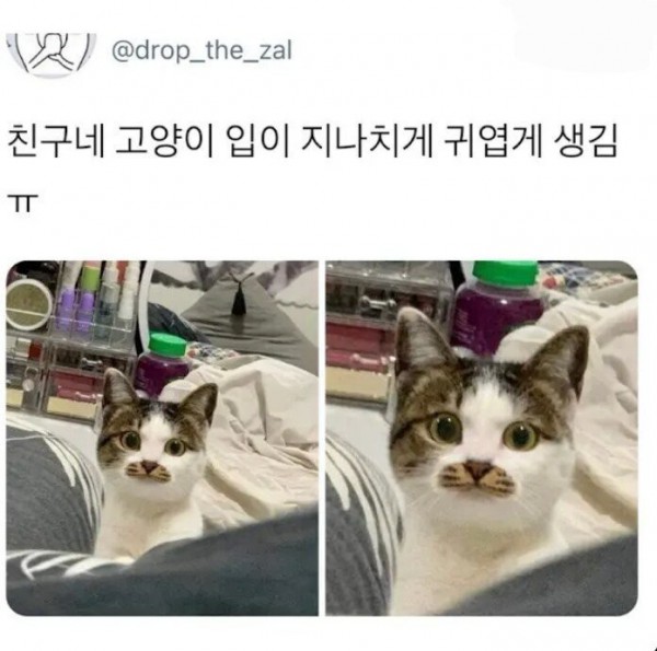 17503291696559.jpg