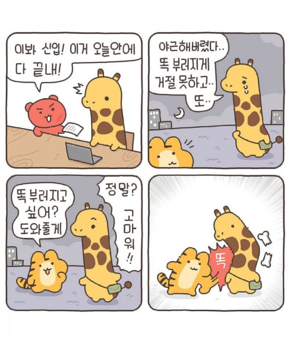 17503293375448.jpg