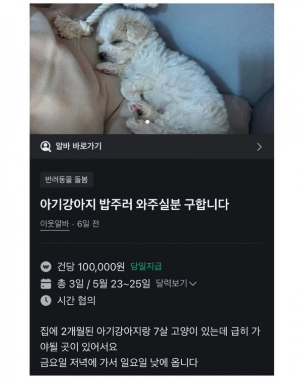 17503294365918.jpg