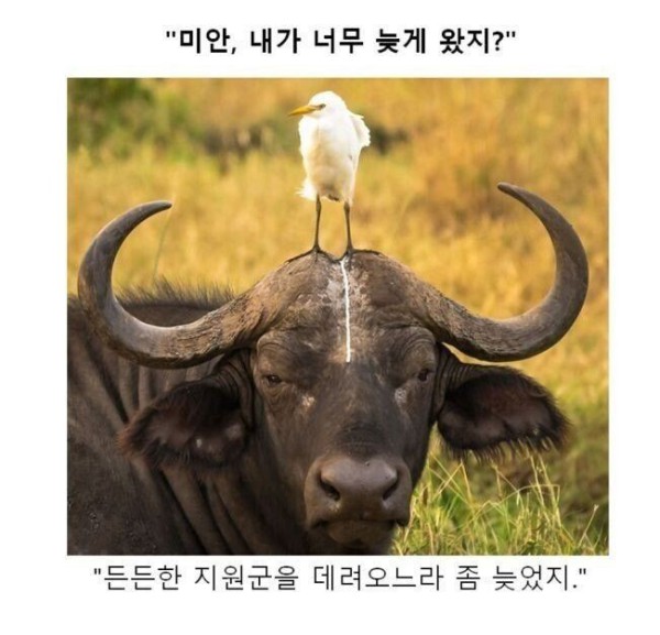 17514432302251.orig