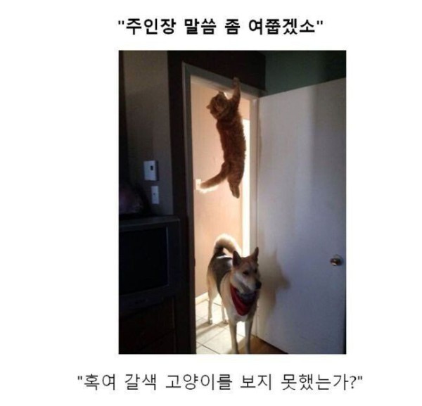 1751443232583.orig