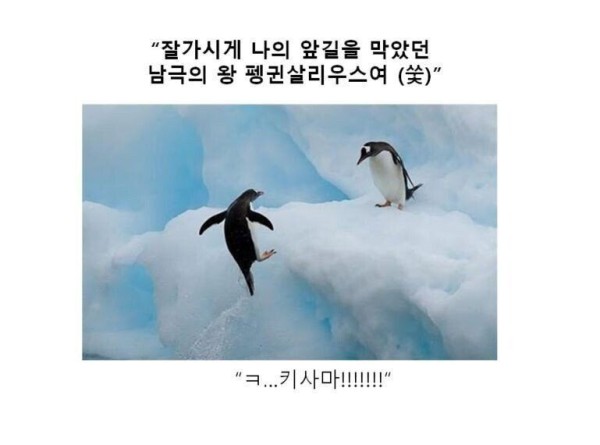 17514432336615.orig
