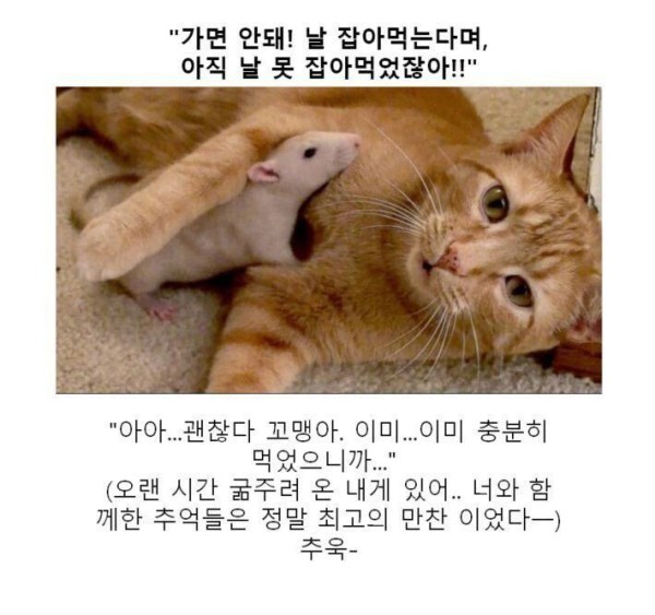 17514432342142.orig