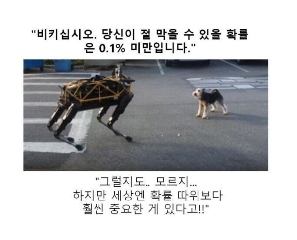17514432344616.orig