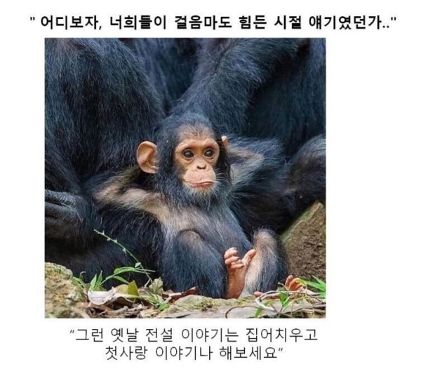 17514432347773.orig
