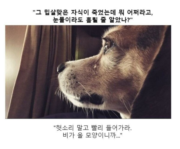 17514432353768.orig
