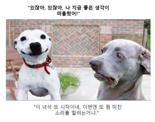 17514432362295.orig