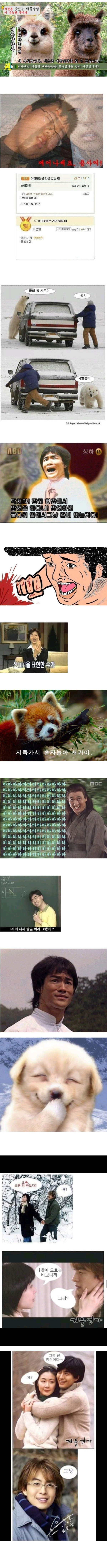 17514440814518.orig