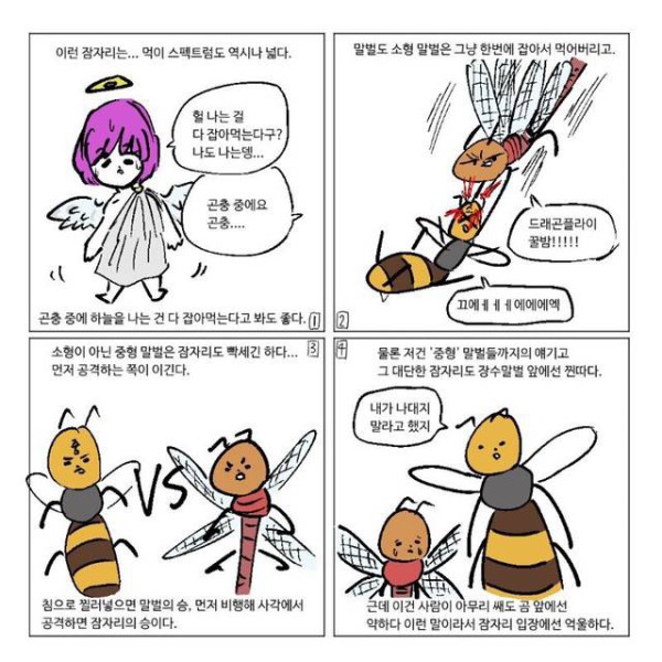 17514454481827.orig