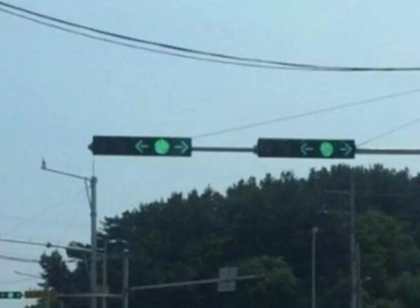 17514456605284.orig