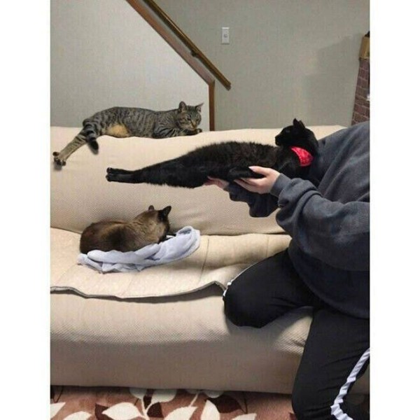 17514474957895.orig