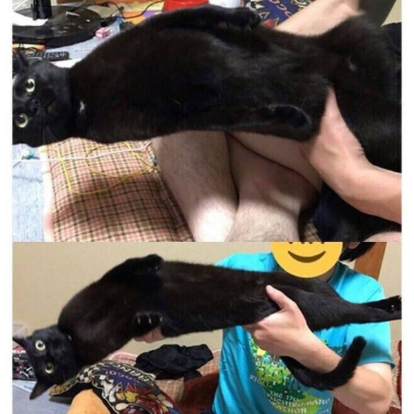 1751447496078.orig