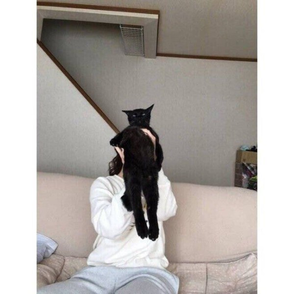 17514474965969.orig
